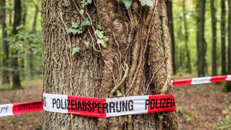 Hambacher Forst